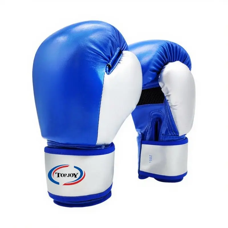 Blue Boxing Gloves